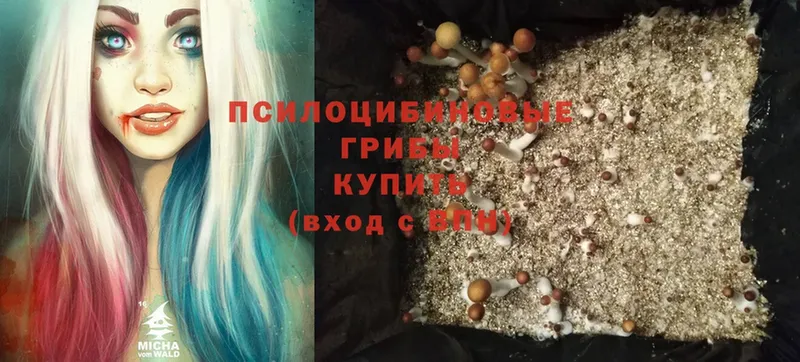 МЕГА ссылки  Невинномысск  Галлюциногенные грибы Psilocybe  как найти  